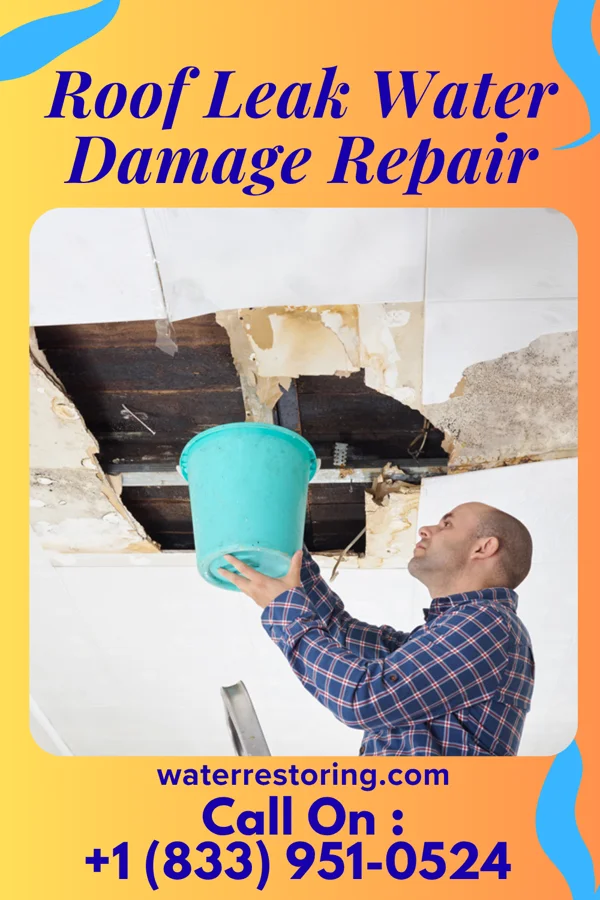 Roof Leak Water Damage Repair in Correctionville, IA